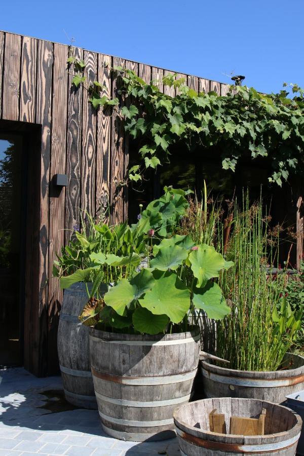 Clos Des Poulies La Ferté-Saint-Aubin Dış mekan fotoğraf